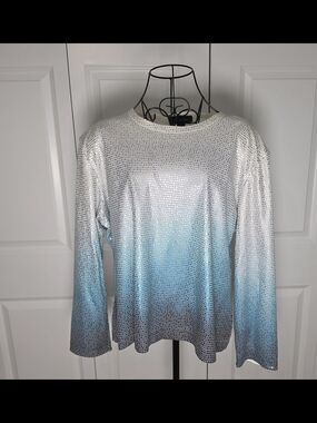 St. John Metallic Ombre Long Sleeve Top XL Blue Silver Shimmer Blouse